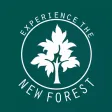 Experience the New Forest