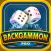 Backgammon Play