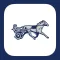 Off and Pacing: Horse Racing