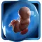 PregApp