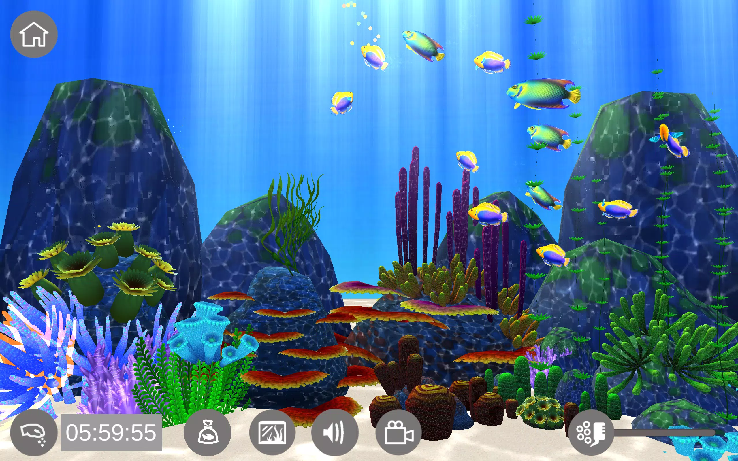 Aquarium Sim Screenshots