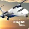 Flight Sim 2024