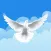 Open Heavens Devotional