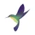 Hummingbird Associates