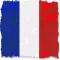 French Test A1 A2 B1 + Grammar