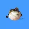 animals wearing monocles