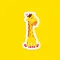 Cute Animal Stickers for Kids