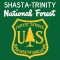 Shasta-Trinity National Forest
