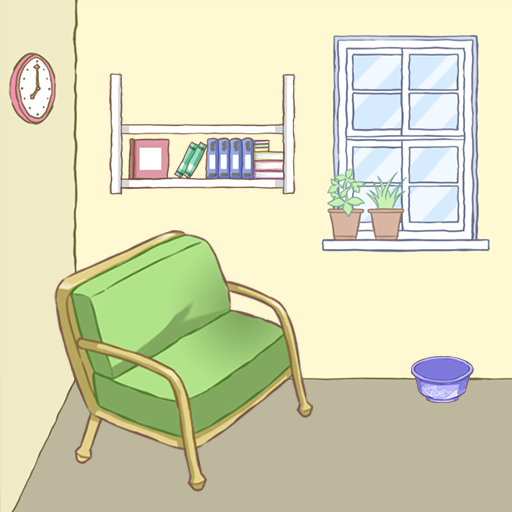 Cat's Room Cat's Room