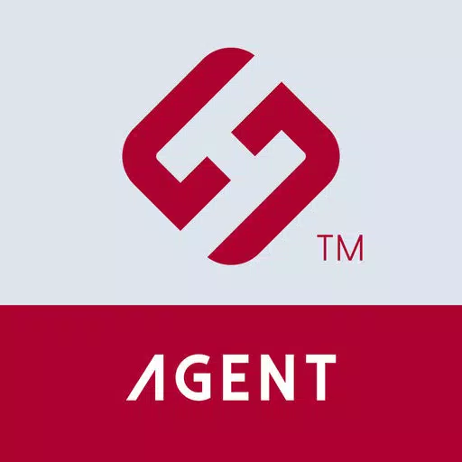 HS Agent HS Agent