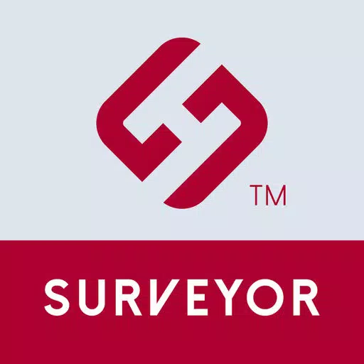 HS Surveyor HS Surveyor
