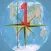OneMileNorth Countries Quiz