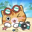 The Cats Paradise The Cats Paradise