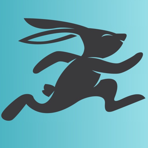 Rabbit.Delivery