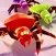 Spider Attack: Knife Shooter