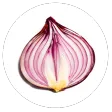 Onion Search Engine