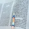 תיקון קוראים - מגילת אסתר