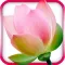 Gayatri Mantra - Mystical India