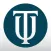 Touro University App
