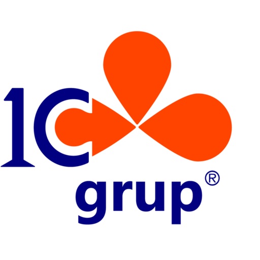 1C Grup B2B