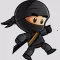 Ninja Power Jumper