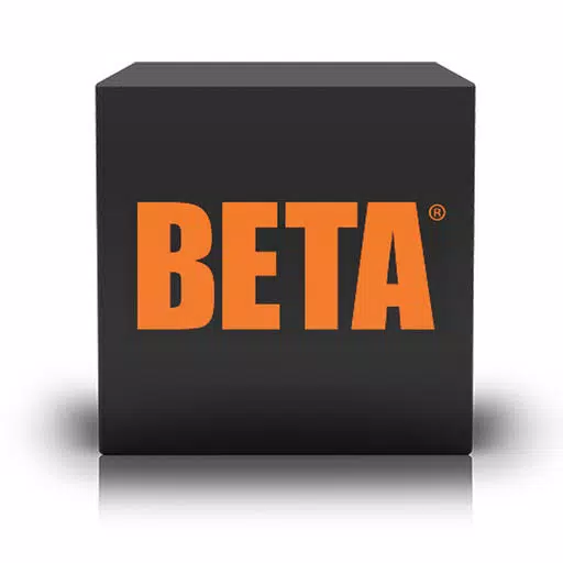 Beta Holdings Beta Holdings