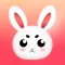 Lovely Bunny