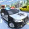 Police Car Traffic