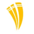 Easy Cricket App