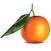 Orange County Brokerage
