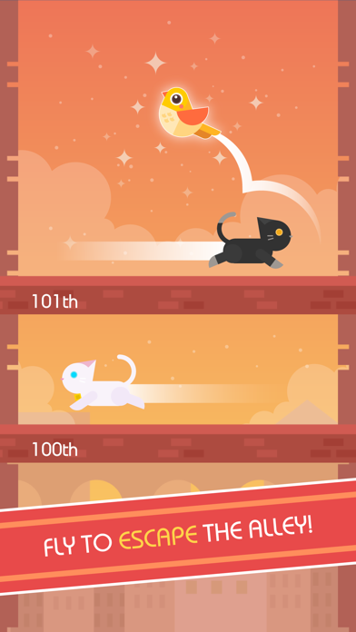 تصاویر Alley Bird