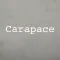 CARAPACE : Wholesale Clothing