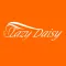 LAZY DAISY: Wholesale Clothing