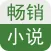 畅销小说