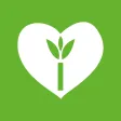 Irish Dating