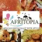 Afritopia, Southampton
