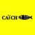 Catch 202, Belfast