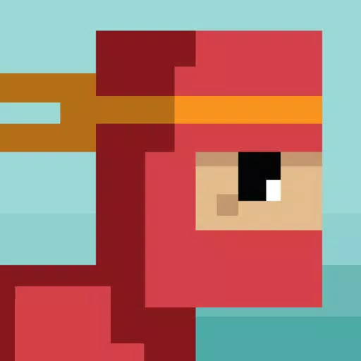 Ninja Impossible Ninja Impossible