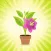 Plant Light Meter LUX & Care