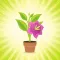 Plant Light Meter LUX & Care