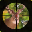 Jungle Hunting - Hunter Sniper