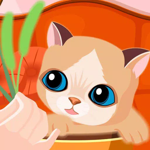 My Sweet Cat - Kitten Daycare My Sweet Cat - Kitten Daycare