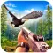 Bird Shooting Adventure