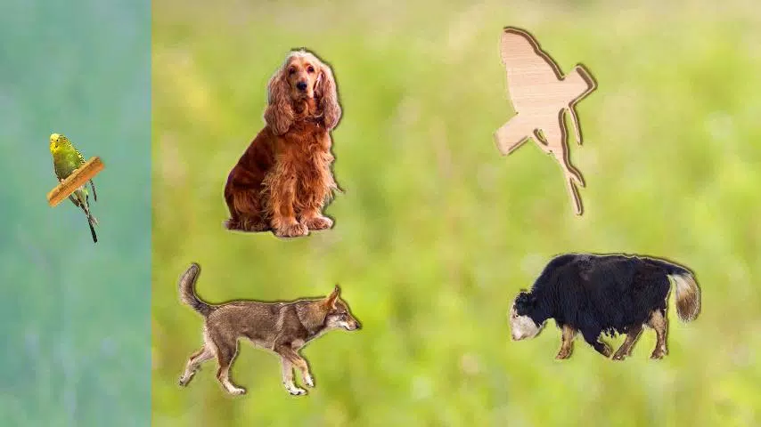 Puzzle Game Animals for Kids Screenshots