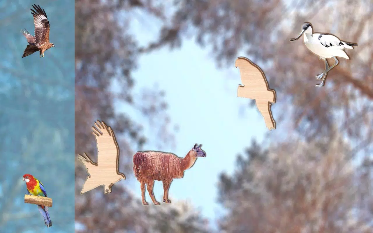 Puzzle Game Animals for Kids Screenshots