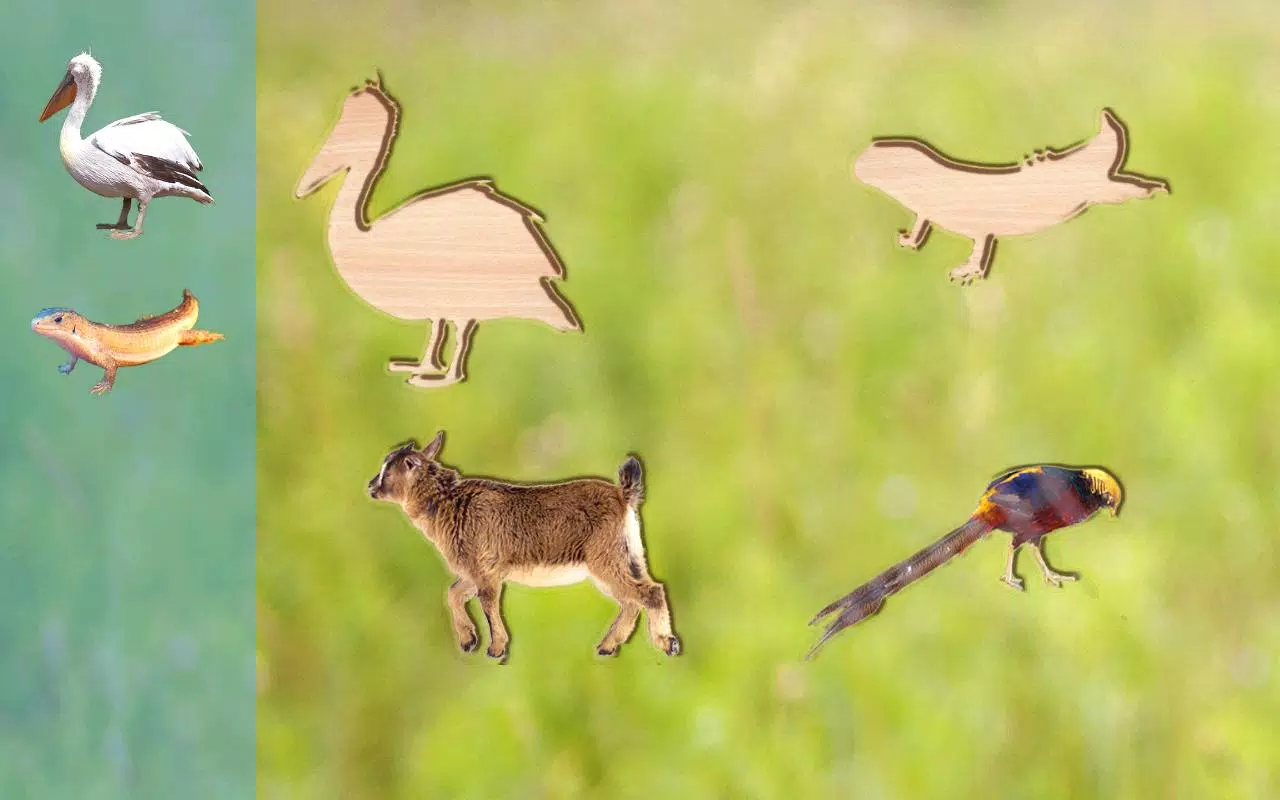 Puzzle Game Animals for Kids Screenshots