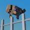 Thiefs Run 3D