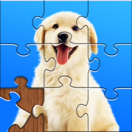 Jigsaw Puzzles Jigsaw Puzzles