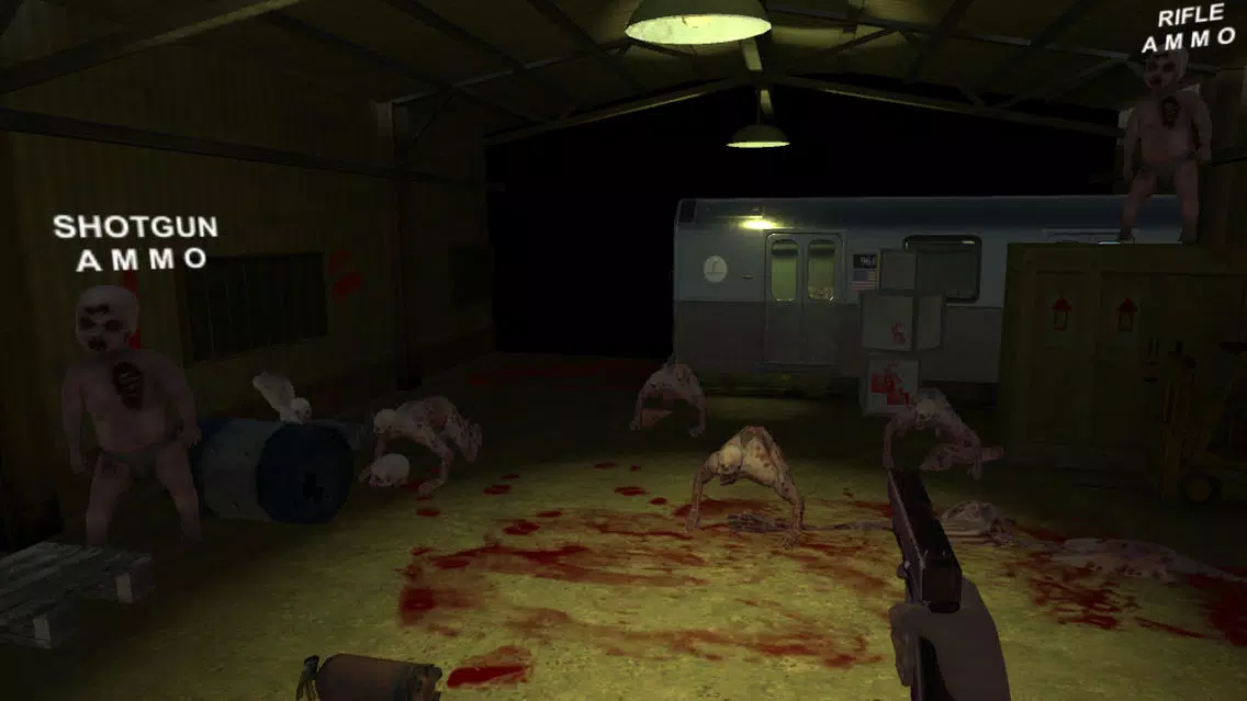 Subway Zombies Lite应用截图