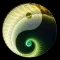 YinYang University